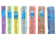Eslingas coloreadas multi constructivas de las correas del poliéster con diversa capacidad