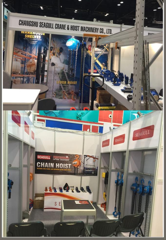 El bloque de polea de cadena manual del material de construcción, da a